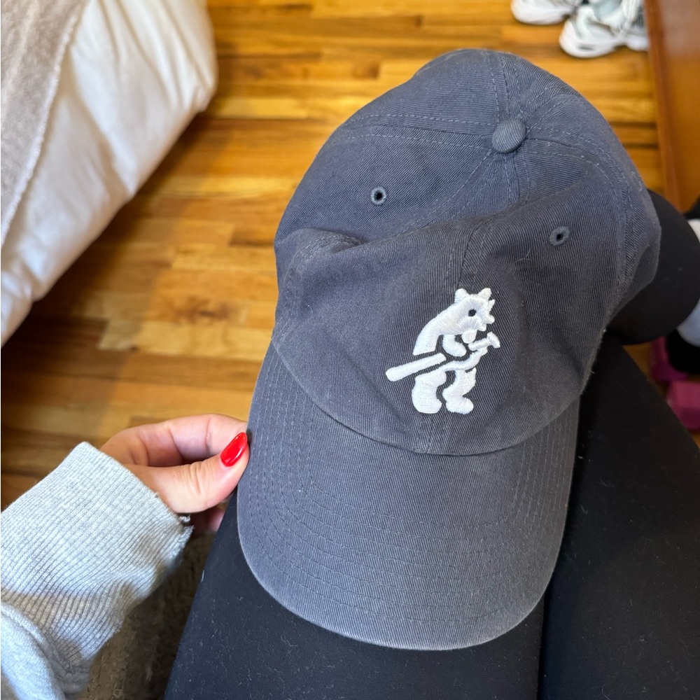 Chicago cubs hat